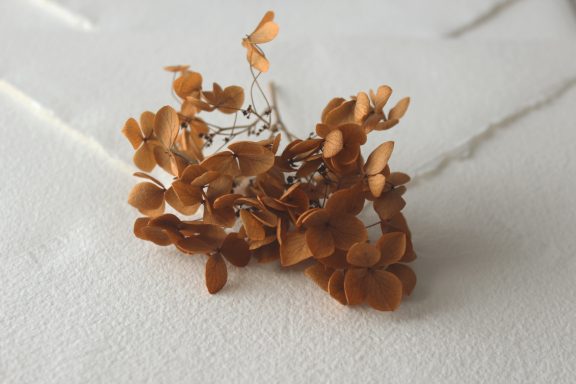 Hortensia Teja
