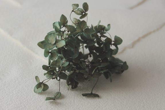 Hortensia Verde Oscuro
