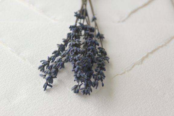Lavanda