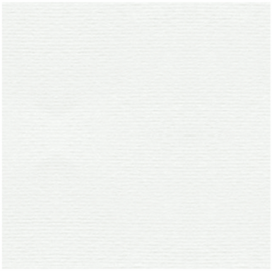 Verjurado Blanco Superficie blanca texturizada con un patrón sutil de líneas.