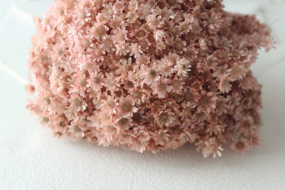 Mini Margarita Rosa