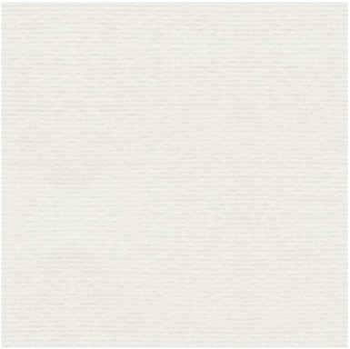 Verjurado Marfil Fondo texturizado en color blanco claro.